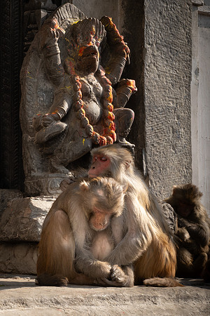 Loving Kindness