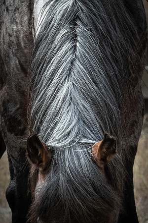 Simple Beauty