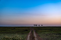 Serengeti Dawn