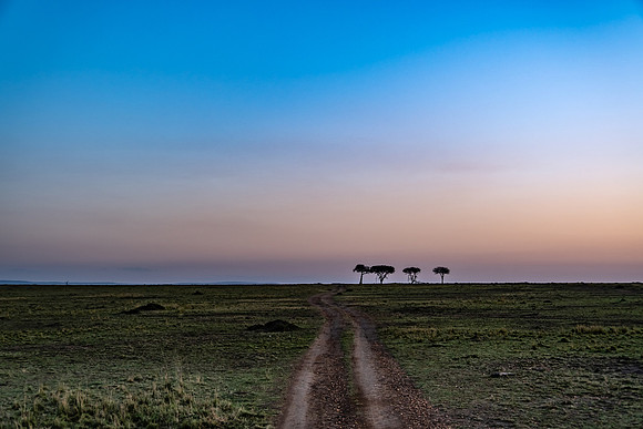 Serengeti Dawn
