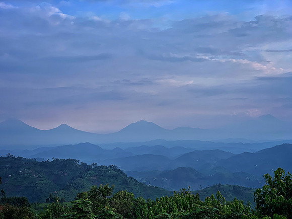 Vista
