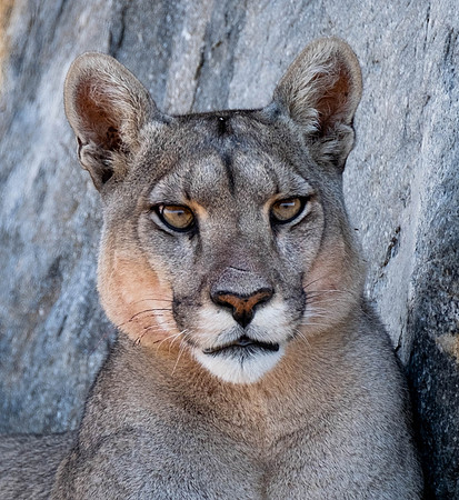 Petaka Portrait. She's the one for sure