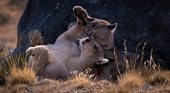 MOther love