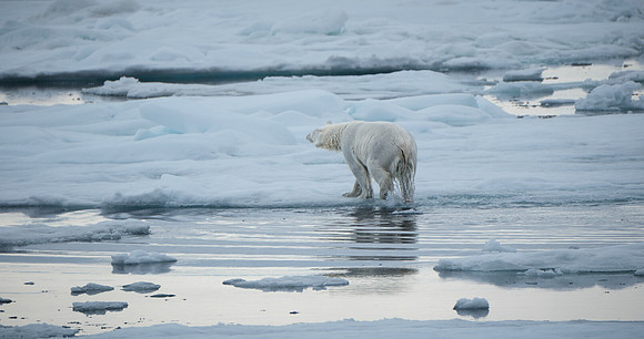 Wringing Wet