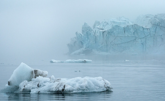 Out of the Mist