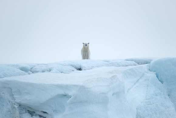 Attentive Presence