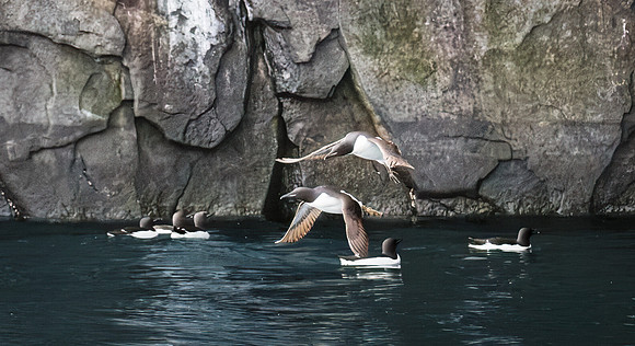 Water Landing