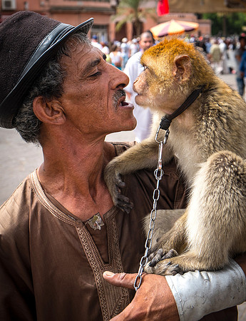 Gimme Kiss