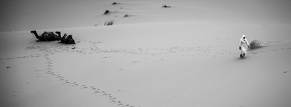 Climbing the Dunes