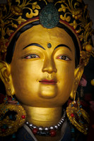 Tara