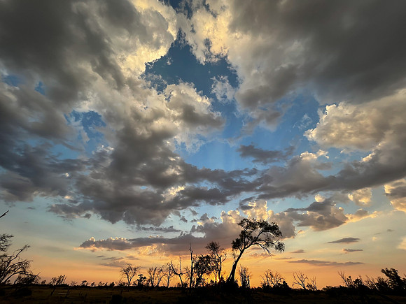Okavango Evening Sky