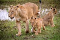 I'm with Mom