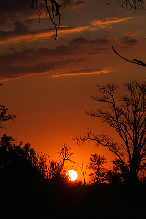 Okavango Red Skies