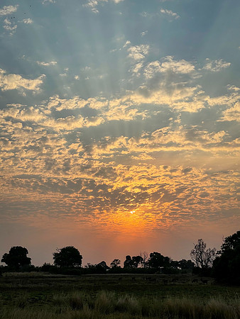 Sunset clouds, Okavango Delta, Botswana