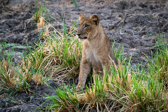 Watching Mom