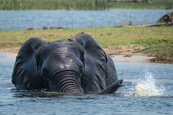 Bath TIme