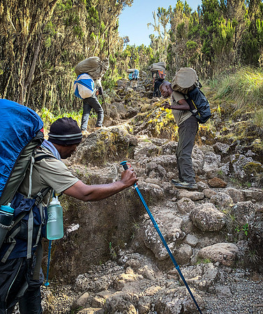 Charles and Porters climbing above Shira