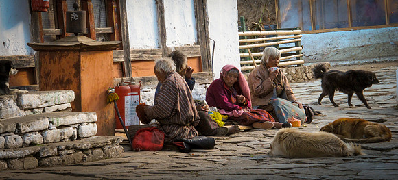 Bhutanese Retirement Party